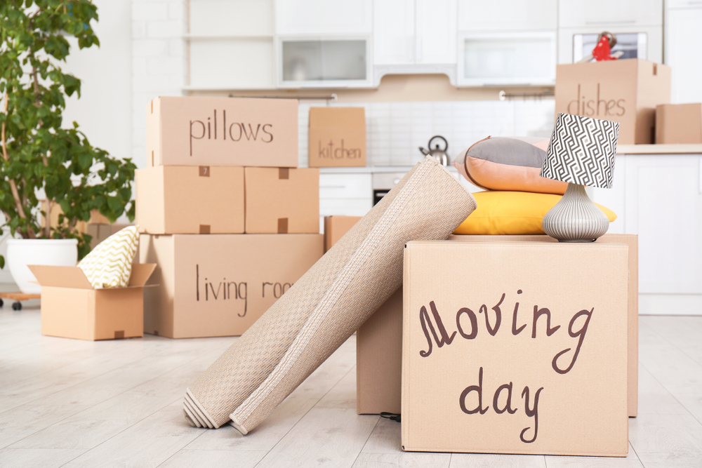 Packing and Moving Services